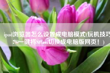 ipad浏览器怎么设置成电脑模式(玩机技巧：一键将Safari切换成电脑版网页！)