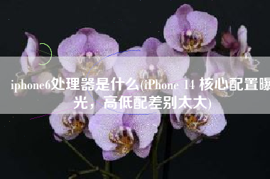 iphone6处理器是什么(iPhone 14 核心配置曝光，高低配差别太大)