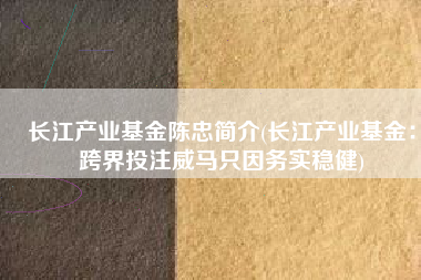 长江产业基金陈忠简介(长江产业基金：跨界投注威马只因务实稳健)