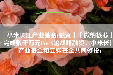 小米长江产业基金(融资丨「微纳核芯」完成数千万元Pre-A轮战略融资，小米长江产业基金和立翎基金共同领投)