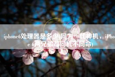 iphone6处理器是多少(同为一代神机，iPhone 6两兄弟却同机不同命)