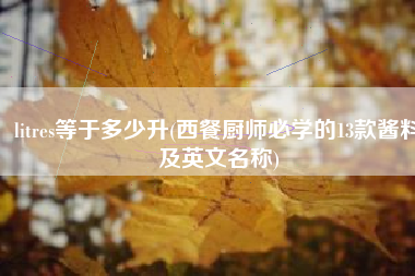 litres等于多少升(西餐厨师必学的13款酱料及英文名称)