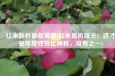 红米新机最新消息(红米新机曝光：这才是年度性价比神机，没有之一)