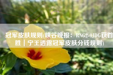 冠军皮肤规则(峡谷晚报：RNG2-1JDG获首胜｜宁王透露冠军皮肤分钱规则)