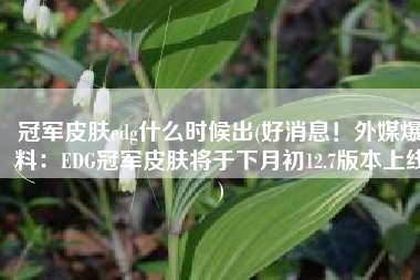 冠军皮肤edg什么时候出(好消息！外媒爆料：EDG冠军皮肤将于下月初12.7版本上线)