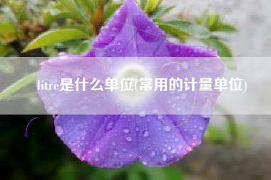 litre是什么单位(常用的计量单位)