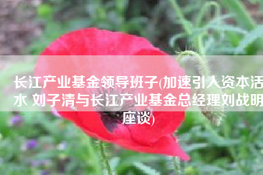 长江产业基金领导班子(加速引入资本活水 刘子清与长江产业基金总经理刘战明座谈)