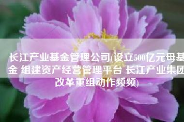 长江产业基金管理公司(设立500亿元母基金 组建资产经营管理平台 长江产业集团改革重组动作频频)