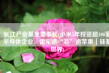 长江产业基金董事长(小米5年投资超100家半导体企业，雷军造“芯”追苹果｜硅基世界)