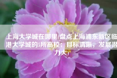 上海大学城在哪里(盘点上海浦东新区临港大学城的5所高校：目标清晰，发展潜力大)