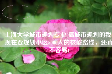 上海大学城市规划专业(搞城市规划的我，现在要规划小区5000人的核酸路线，还真不容易)