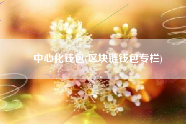 中心化钱包(区块链钱包专栏)
