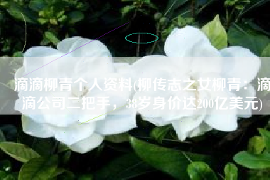 滴滴柳青个人资料(柳传志之女柳青：滴滴公司二把手，38岁身价达200亿美元)
