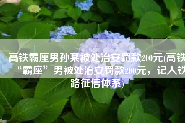 高铁霸座男孙某被处治安罚款200元(高铁“霸座”男被处治安罚款200元，记入铁路征信体系)