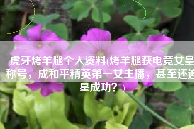 虎牙烤羊腿个人资料(烤羊腿获电竞女皇称号，成和平精英第一女主播，甚至还追星成功？)