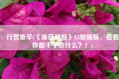 行营鱼竿(《渔获战报》X5加强版，看看你都干了些什么？！)