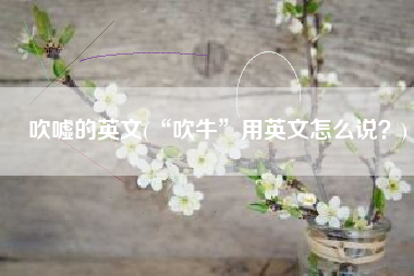 吹嘘的英文(“吹牛”用英文怎么说？)