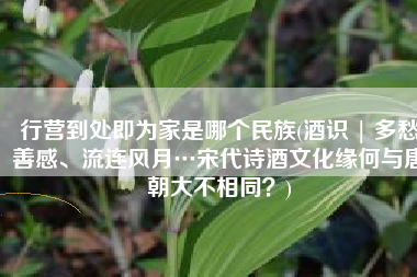 行营到处即为家是哪个民族(酒识 | 多愁善感、流连风月…宋代诗酒文化缘何与唐朝大不相同？)