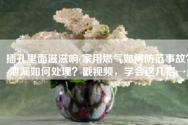 插孔里面滋滋响(家用燃气如何防范事故？泄漏如何处理？戳视频，学会这几招→)
