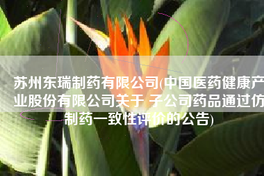 苏州东瑞制药有限公司(中国医药健康产业股份有限公司关于 子公司药品通过仿制药一致性评价的公告)