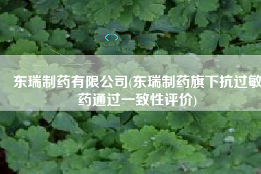 东瑞制药有限公司(东瑞制药旗下抗过敏药通过一致性评价)
