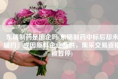 东瑞制药是国企吗(东瑞制药中标后却未履约：或因原料企业断供，集采交易资格被暂停)
