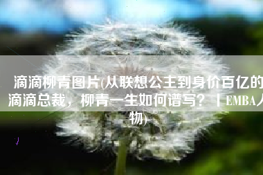 滴滴柳青图片(从联想公主到身价百亿的滴滴总裁，柳青一生如何谱写？丨EMBA人物)