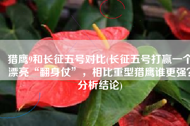 猎鹰9和长征五号对比(长征五号打赢一个漂亮“翻身仗”，相比重型猎鹰谁更强？分析结论)