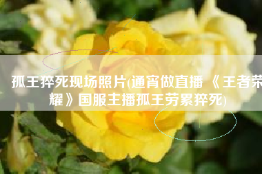 孤王猝死现场照片(通宵做直播 《王者荣耀》国服主播孤王劳累猝死)