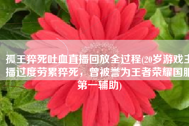 孤王猝死吐血直播回放全过程(20岁游戏主播过度劳累猝死，曾被誉为王者荣耀国服第一辅助)