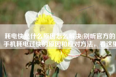 耗电快是什么原因怎么解决(别听官方的，手机耗电过快的原因和应对方法，看这里)
