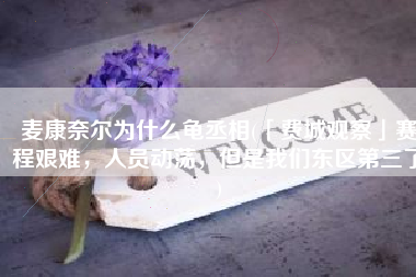 麦康奈尔为什么龟丞相(「费城观察」赛程艰难，人员动荡，但是我们东区第三了)