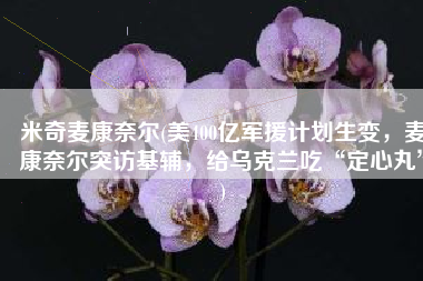 米奇麦康奈尔(美400亿军援计划生变，麦康奈尔突访基辅，给乌克兰吃“定心丸”)