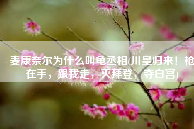 麦康奈尔为什么叫龟丞相(川皇归来！枪在手，跟我走，灭拜登，夺白宫)
