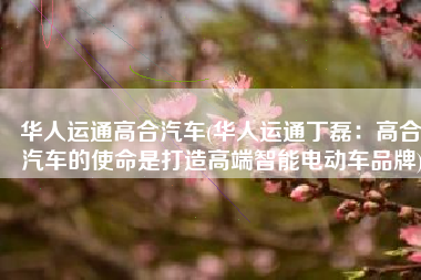 华人运通高合汽车(华人运通丁磊：高合汽车的使命是打造高端智能电动车品牌)