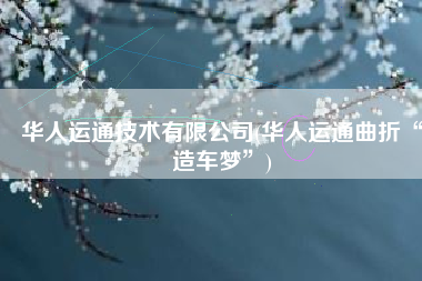 华人运通技术有限公司(华人运通曲折“造车梦”)