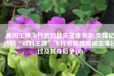 美国王牌飞行员约瑟夫麦康奈尔(美媒记述的“双料王牌”飞行员戴维斯被击落经过及其身后争议)