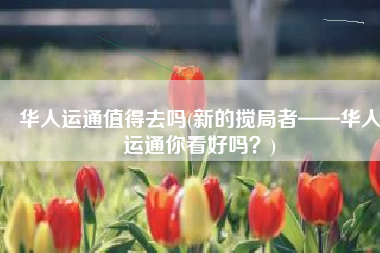 华人运通值得去吗(新的搅局者——华人运通你看好吗？)