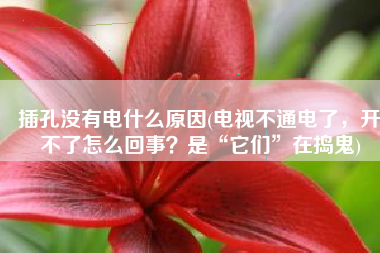 插孔没有电什么原因(电视不通电了，开不了怎么回事？是“它们”在捣鬼)