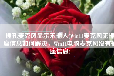 插孔麦克风显示未插入(Win11麦克风无插座信息如何解决，Win11电脑麦克风没有插座信息)