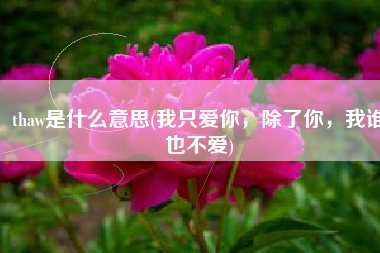 thaw是什么意思(我只爱你，除了你，我谁也不爱)