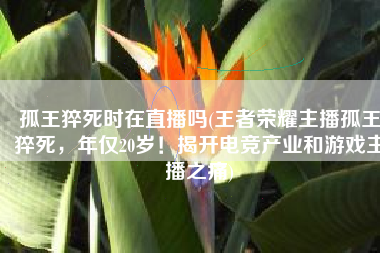 孤王猝死时在直播吗(王者荣耀主播孤王猝死，年仅20岁！揭开电竞产业和游戏主播之痛)