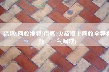 猎鹰9回收视频(猎鹰9火箭海上回收全程视频：一气呵成)