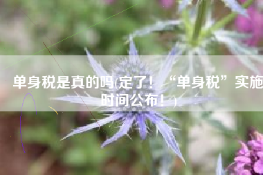 单身税是真的吗(定了！“单身税”实施时间公布！)