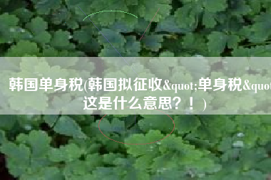 韩国单身税(韩国拟征收"单身税" 这是什么意思？！)