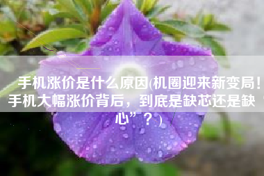 手机涨价是什么原因(机圈迎来新变局！手机大幅涨价背后，到底是缺芯还是缺“心”？)