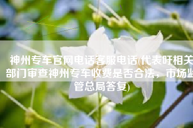 神州专车官网电话客服电话(代表吁相关部门审查神州专车收费是否合法，市场监管总局答复)