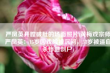 严凤英开膛破肚的场面照片(黄梅戏宗师严凤英：15岁因戏险被沉河，38岁被逼自杀惨遭剖尸)