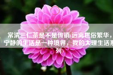 常清三仁茶是不是传销(远离世俗繁华，宁静的生活是一种境界，我的大理生活系列)