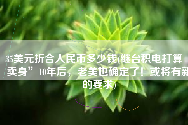35美元折合人民币多少钱(继台积电打算“卖身”10年后，老美也确定了！或将有新的要求)